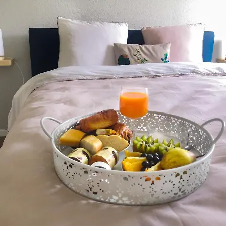 公寓 Toulouse Meet Aeroport 5 Min Tramway A 6 Min Free Parking Proche De Toutes Commodites Belle Terrasse 布拉尼亚克