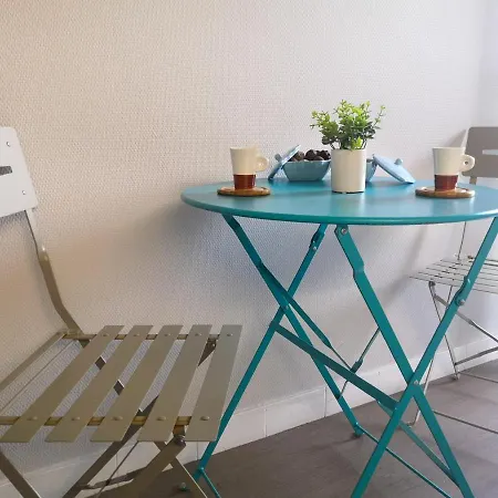 Toulouse Meet Aeroport 5 Min Tramway A 6 Min Free Parking Proche De Toutes Commodites Belle Terrasse * 布拉尼亚克